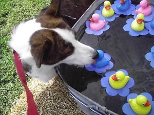 PJ at the duck pond